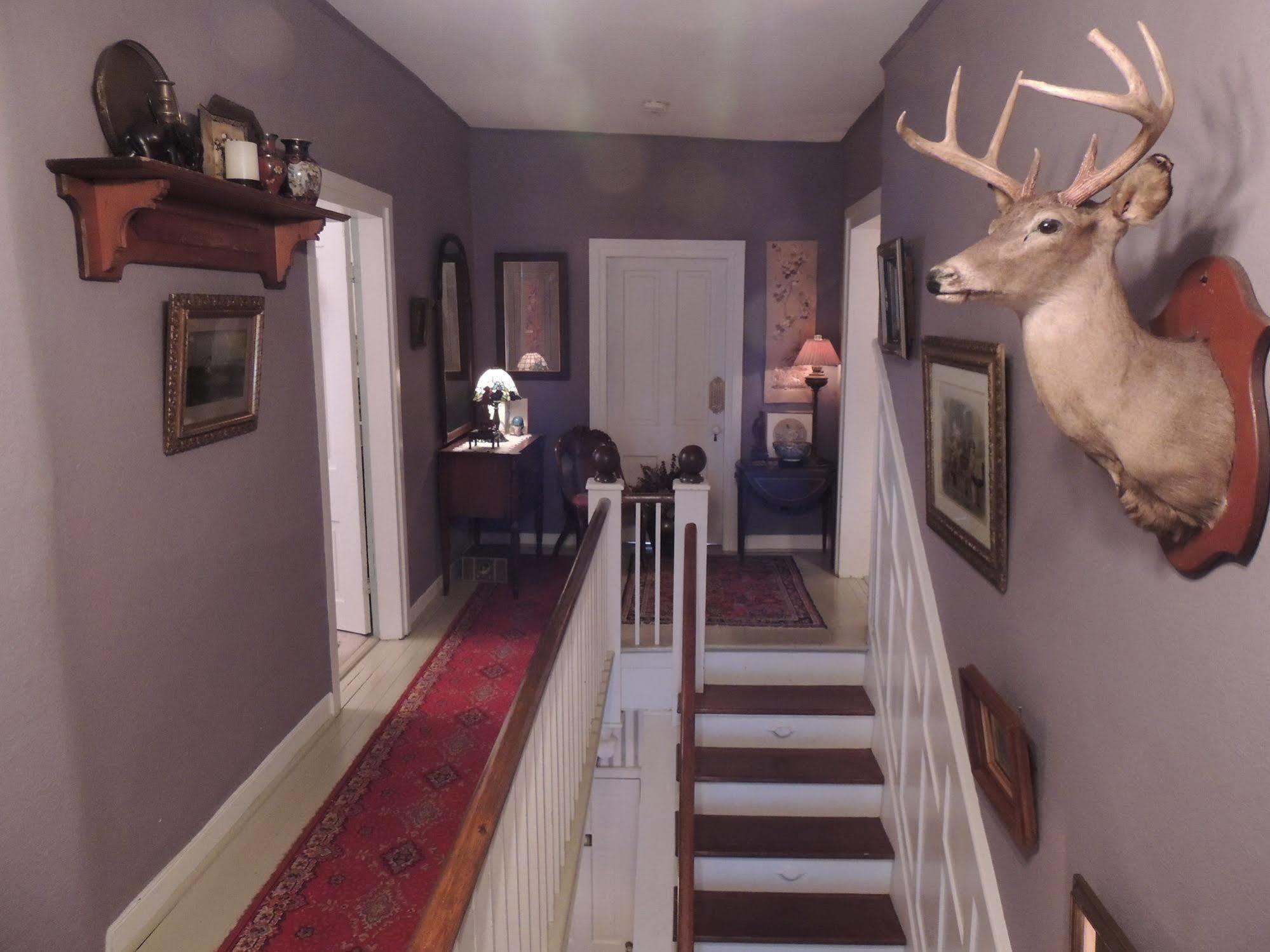 1868 Magnolia House Inn レキシントン エクステリア 写真